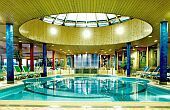 Silvanus Wellness Hotel Visegrád medencéje